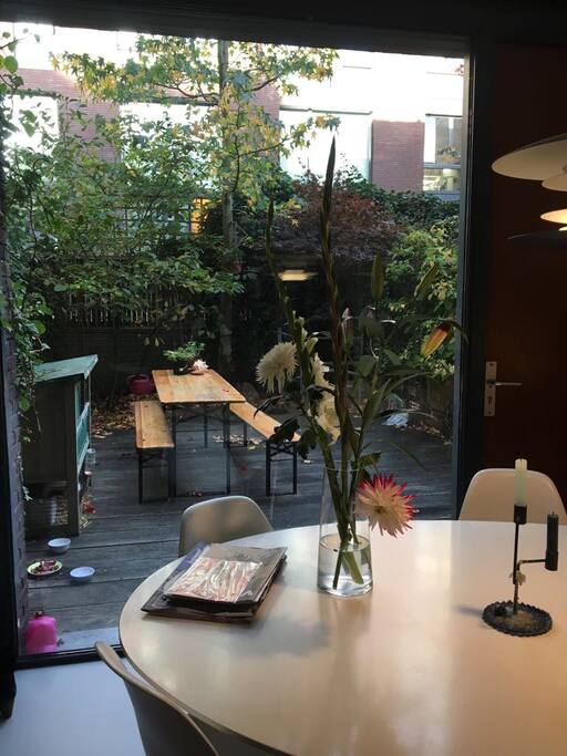 Kitchen and garden