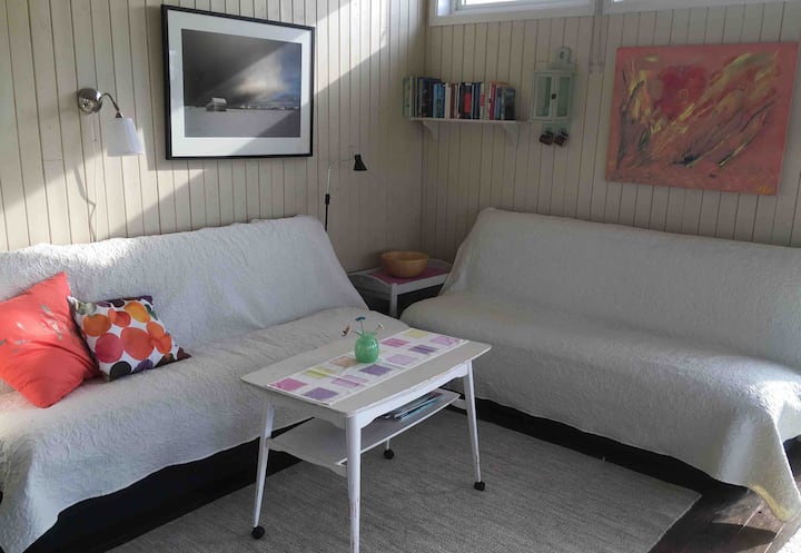 Living room/bedroom. Two sofa beds, each 120 x 200. Both have extra good mattresses. 