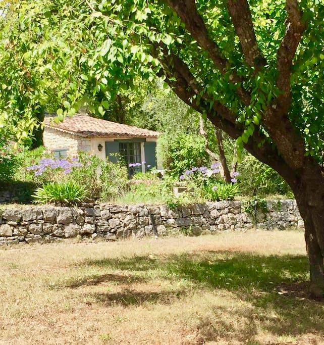 Room seen from garden