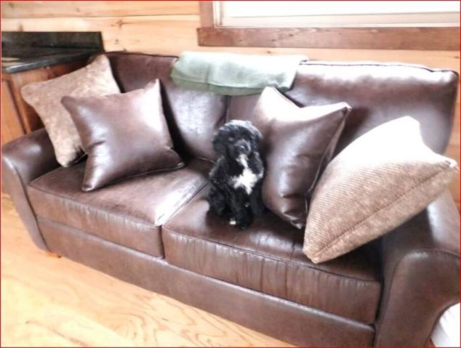 Pull out full size bed in couch