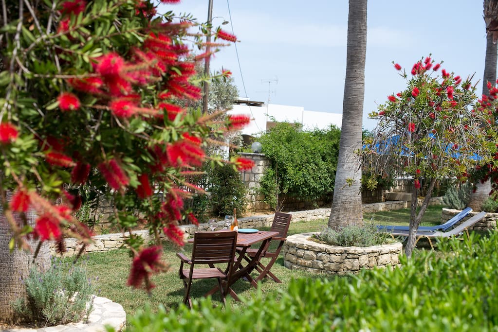 Our garden,relax under the palm tree..
