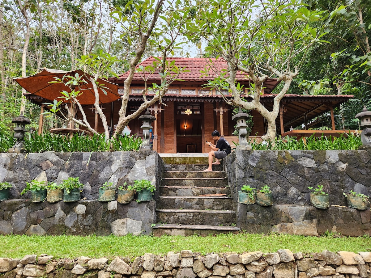 The entrance to a traditional Joglo house is framed by lush greenery and stone steps leading to a wooden porch. Potted plants line the stone wall, while the structure's intricate design is highlighted by ambient lighting.