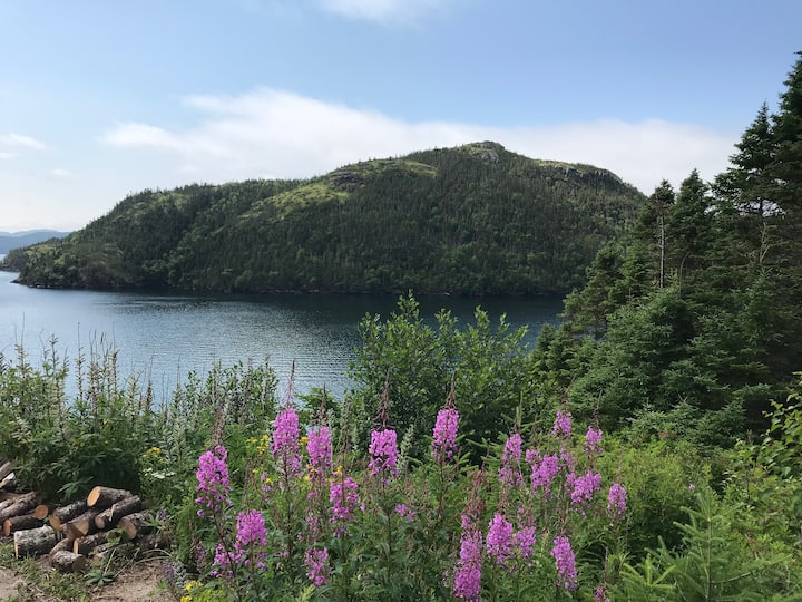 5 Best Cabin Rentals Near Clarenville, Canada Trip101