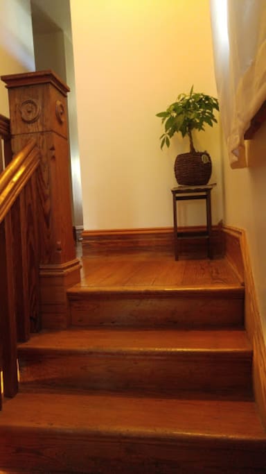 Up to top of 2nd floor landing with new schefflera.