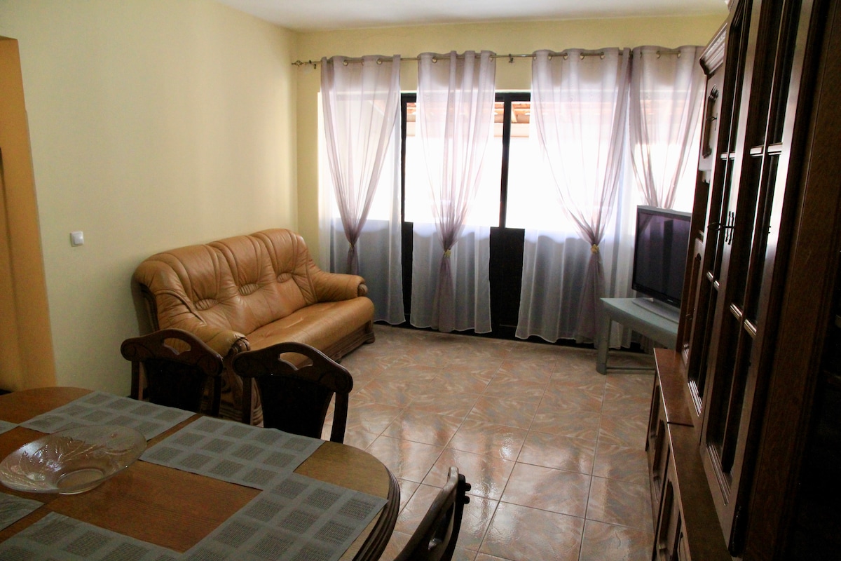 A light-filled living area features a brown leather sofa positioned near large windows adorned with sheer curtains. A wooden dining table is set with a glass centerpiece, complemented by matching chairs. A television stands on a light-colored stand, enhancing the room's functionality.