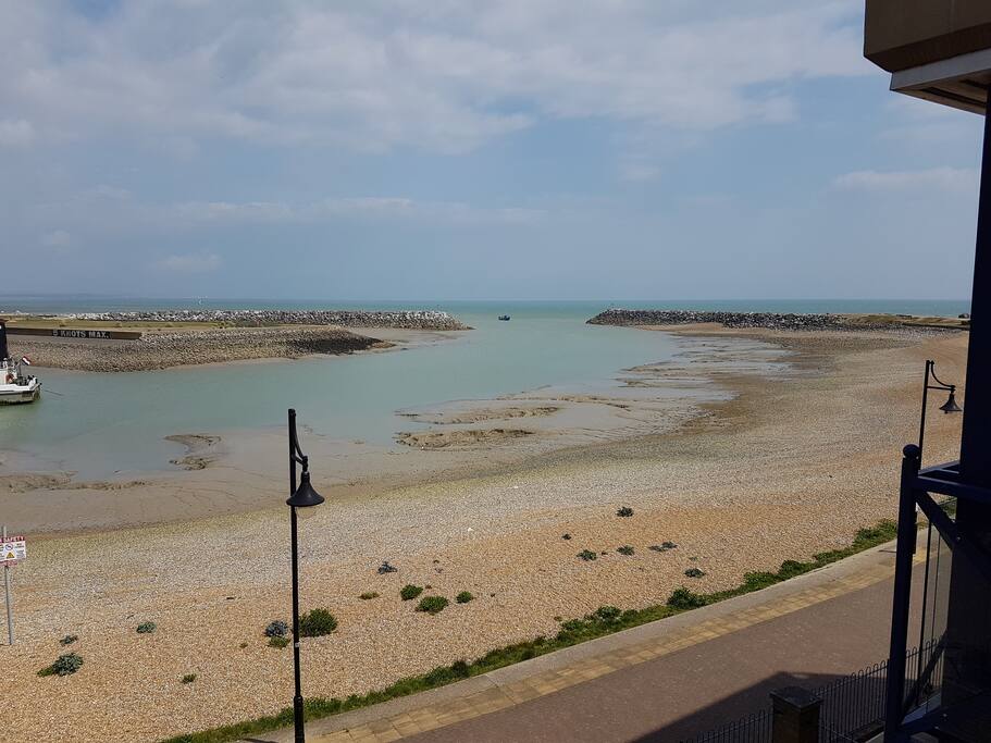 View from garden