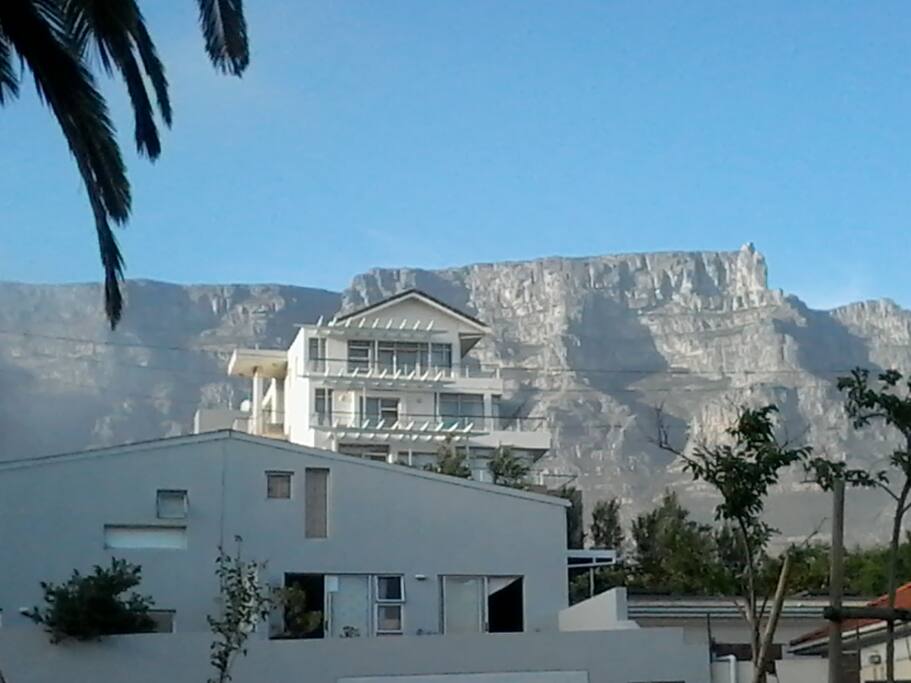 Trinity Gardens with Table Mountain