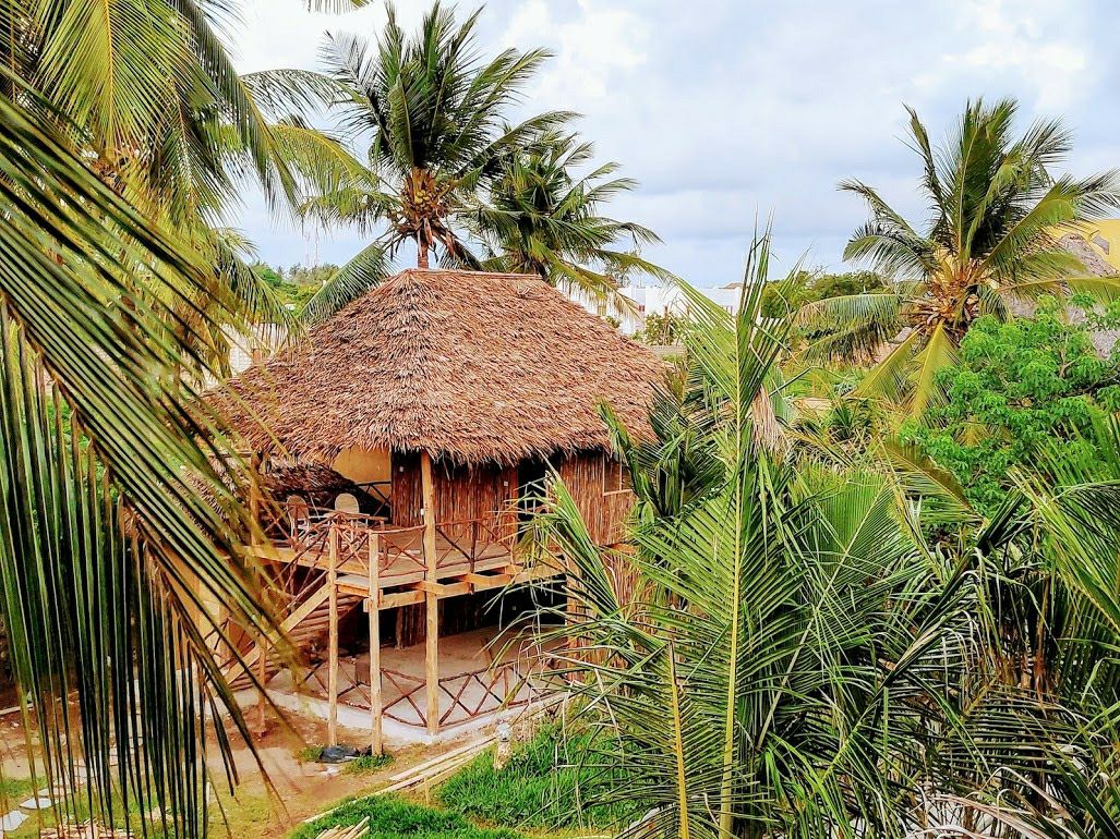 A wooden chalet with a thatched roof is surrounded by lush greenery and palm trees. A spacious deck extends from the structure, offering an inviting outdoor space amidst the natural setting.