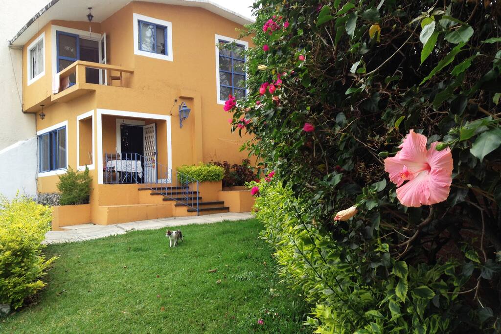 Bienvenue to our petit and kittylicious oasis!