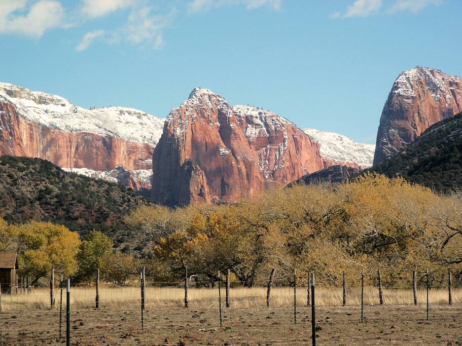 View from our backyard in fall