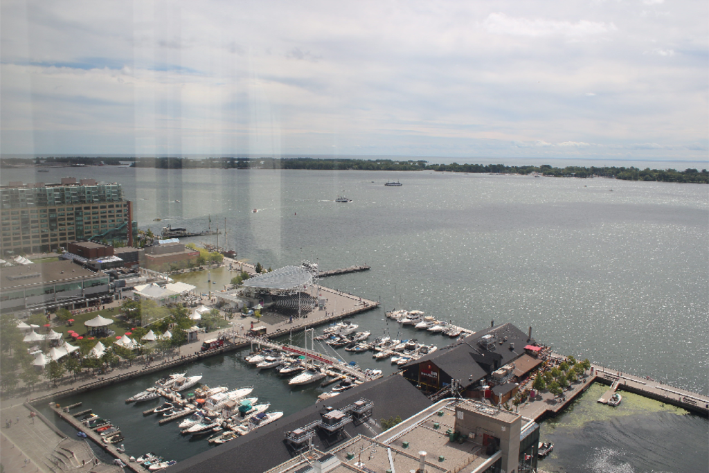 View from the unit