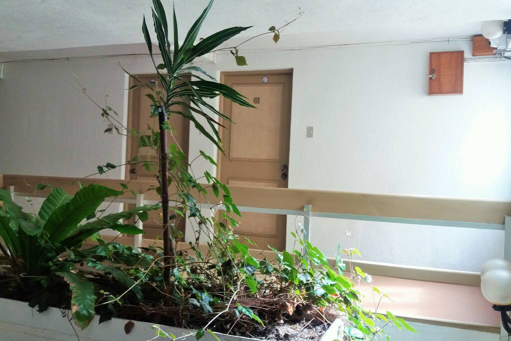 Entrada al departamento