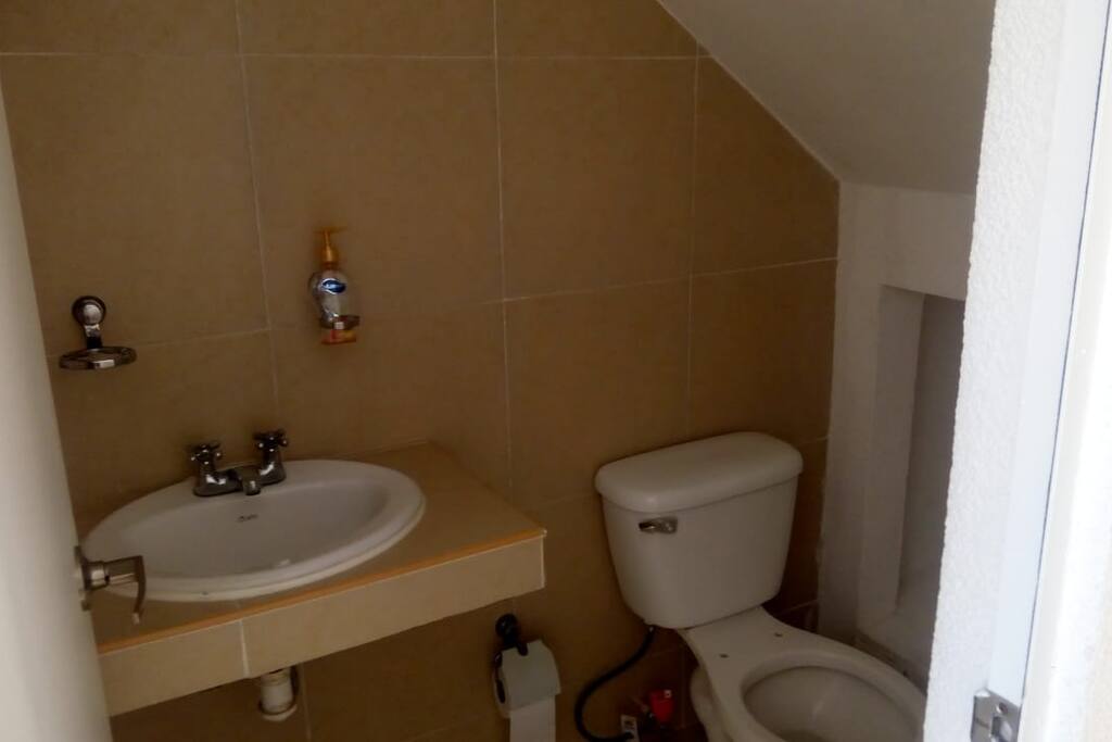 baño de abajo