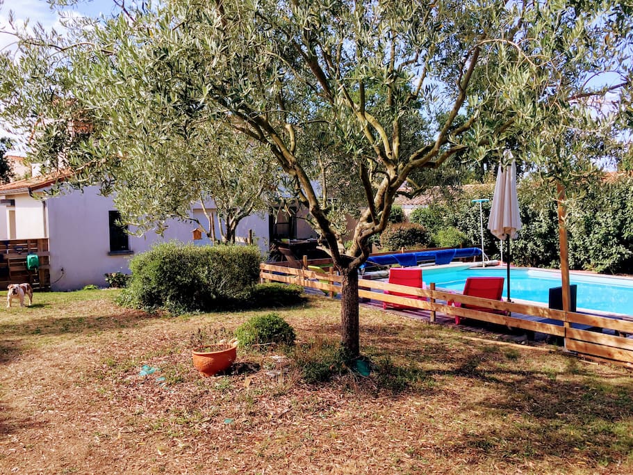 Jardin extérieur