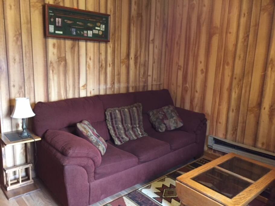 Living room has a pull out hide-a-bed couch with a full size mattress.