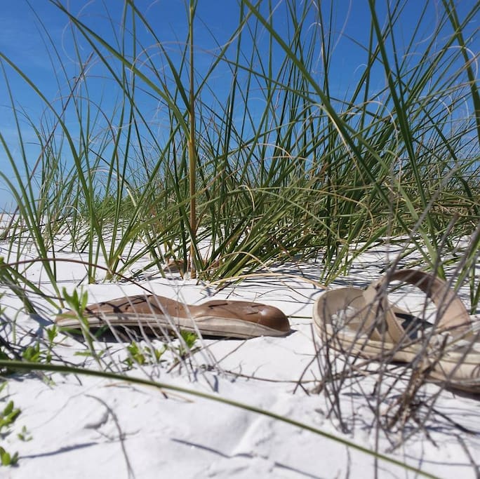 Nearby at Fort Desoto State Park, love that sand!