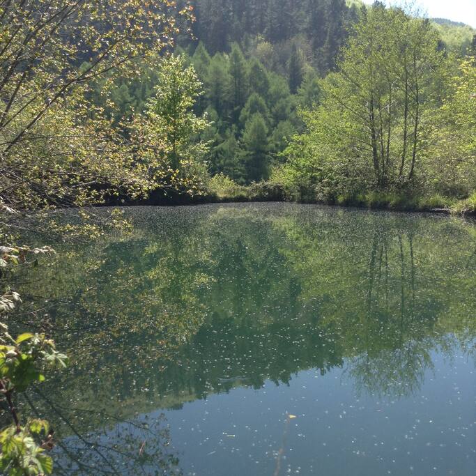 Presa de agua