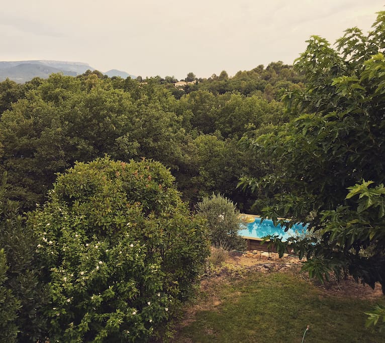 Pool in the garden
