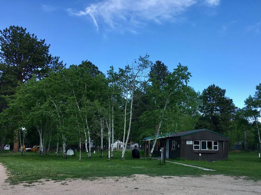 Here you are at Sadie's place. Protected by quaking aspen that offer home and habitat to many bird and animal friends.