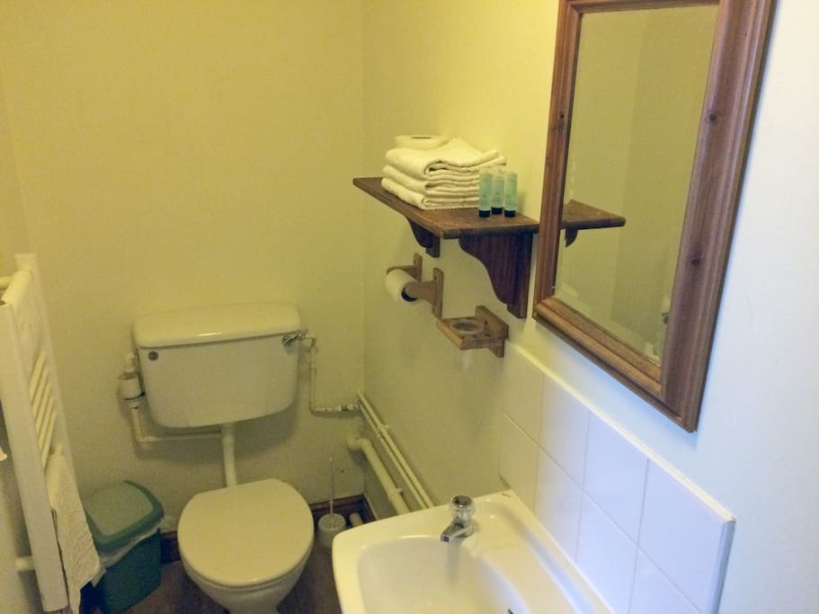 Room 5 Toilet
