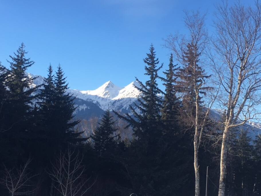 View from Deck