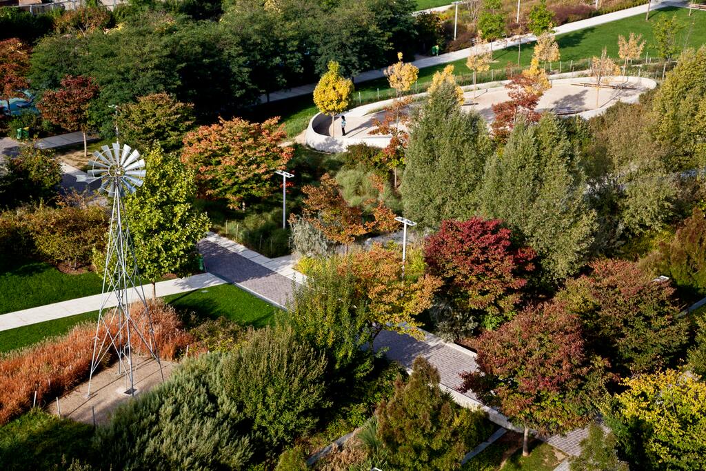 parc martin luther king
