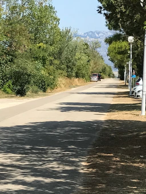 Front Road - Put Kandelica