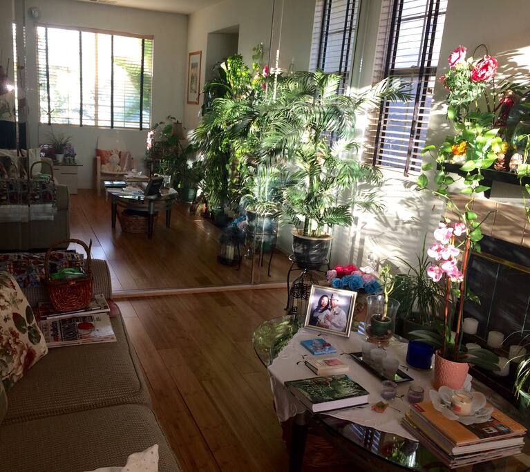 Living Area Room