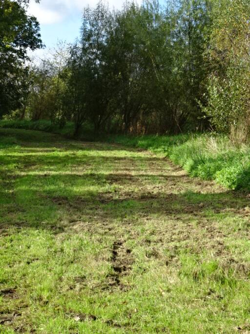 Estate Forestry walk