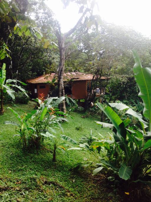 Casa de los Monos
