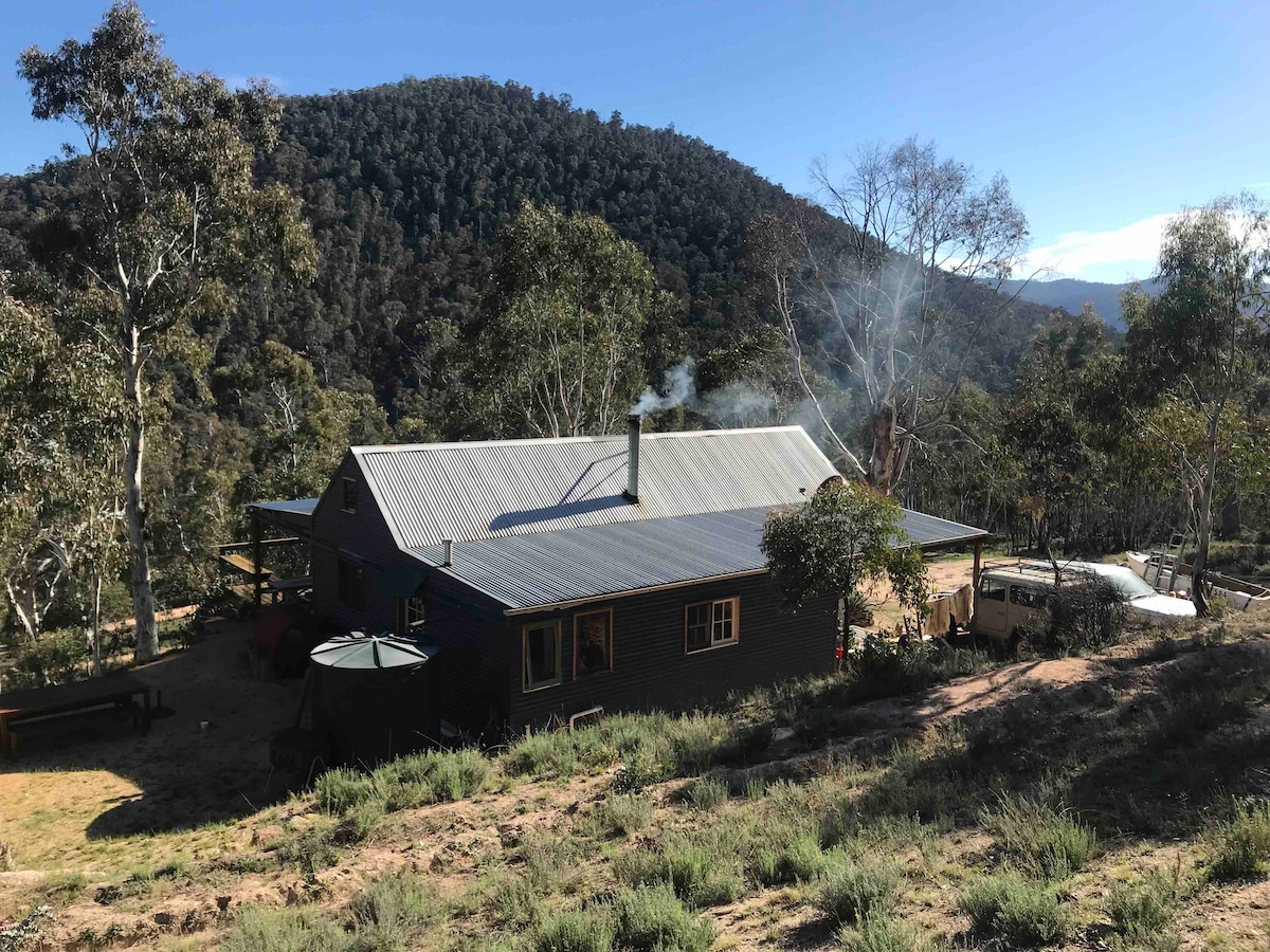 The cabin is nestled amongst trees, with smoke gently rising from the chimney. Surrounded by nature, it features a sturdy roof and large windows, offering a warm, inviting presence against the backdrop of rolling hills.
