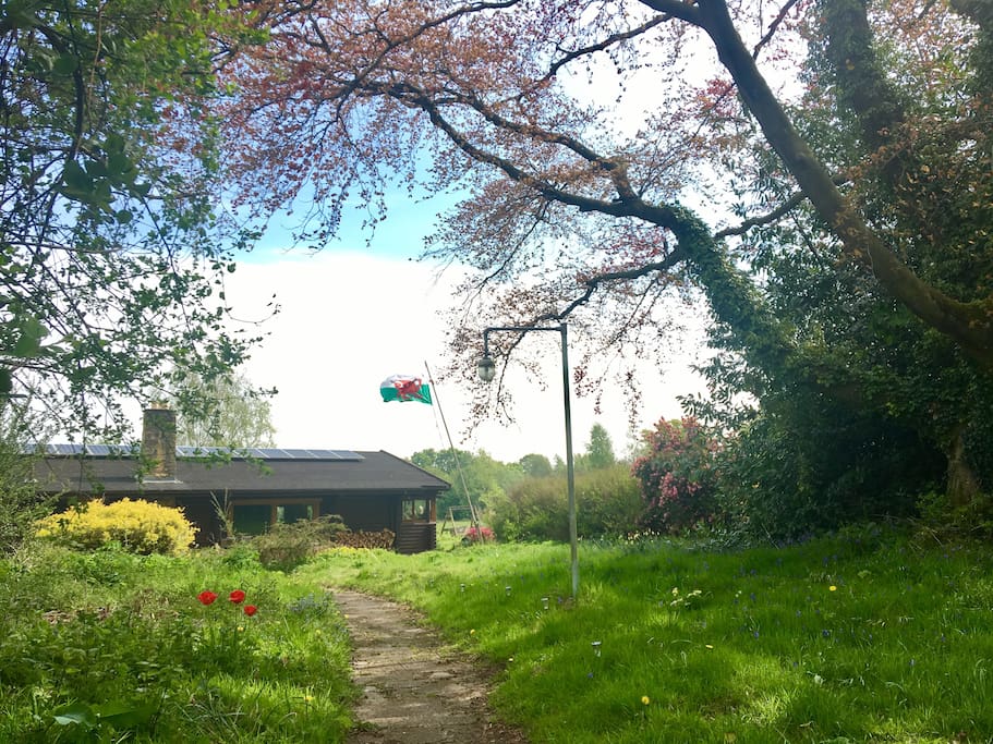 Pathway to Tupa
