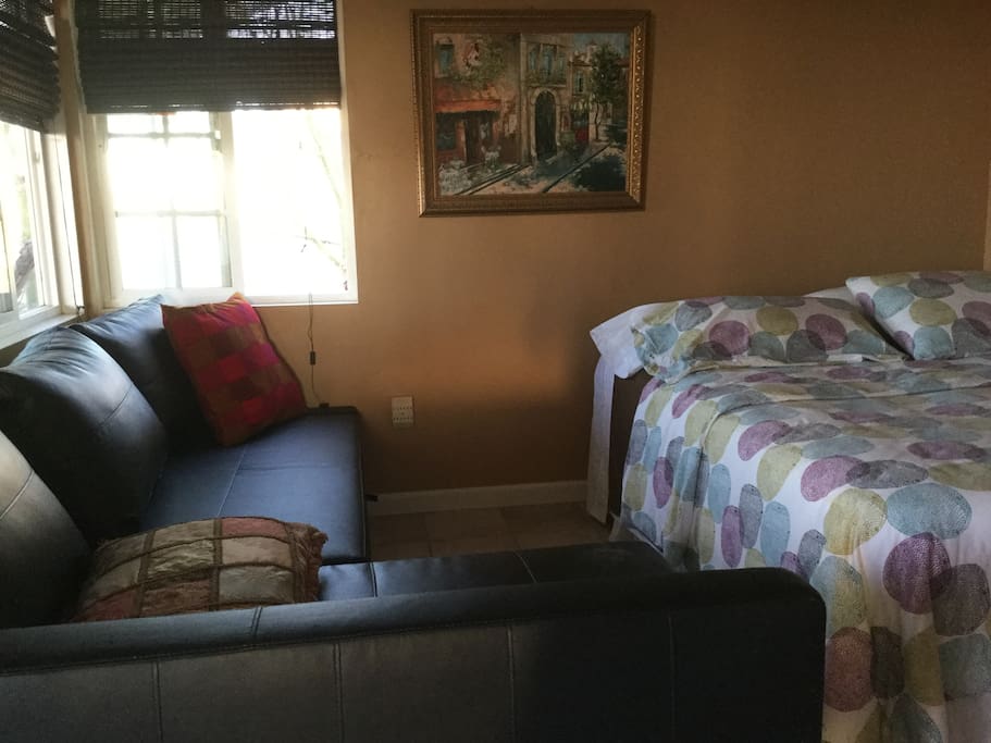 Living room with full size bed and sofa bed also full size.