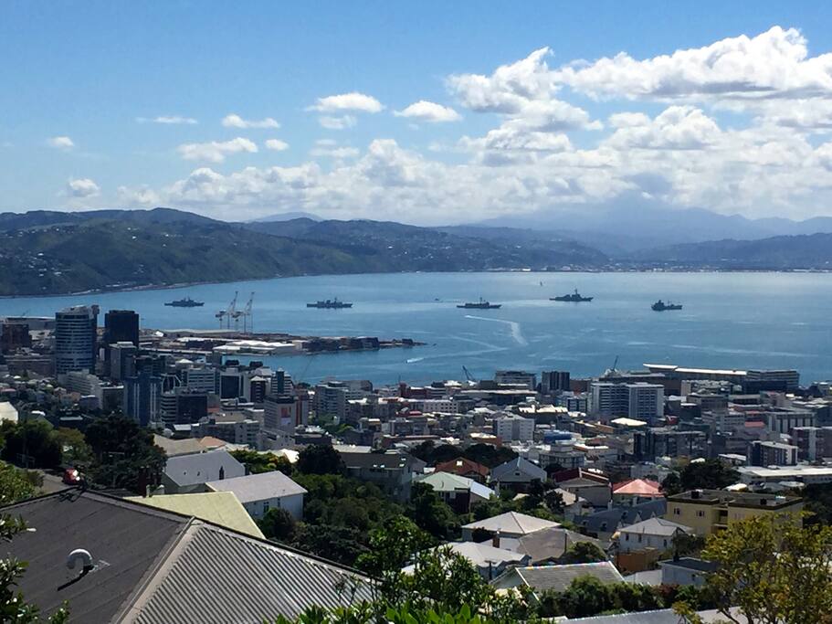Panoramic view of Wellington.