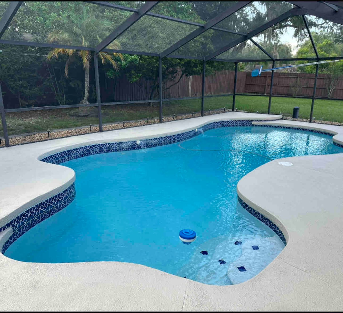 A large, screened-in pool area features a refreshing blue pool with a curvy shape. Surrounding the pool, light-colored concrete provides a spacious area for relaxation. Lush greenery lines the backyard, creating a private and tranquil environment.
