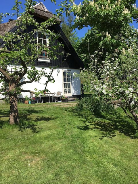 Copenhagen, Farum, Cottage in beautiful nature