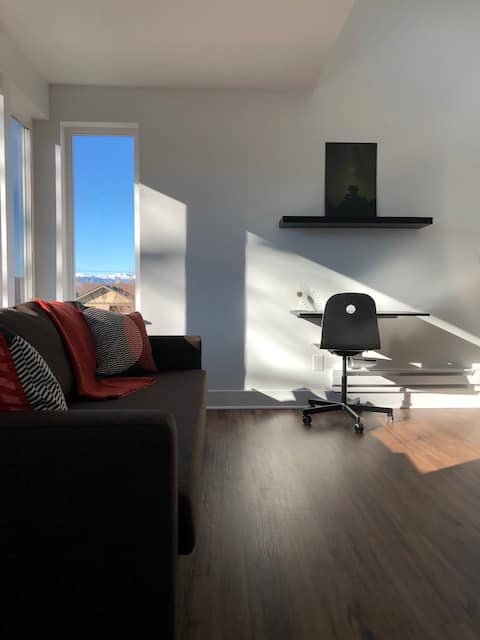 Successful Airbnb property: Modern Carriage House Loft in Popular Platt Park in Platt Park