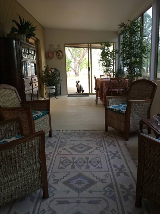 The sunroom and our friendly dog Kauri