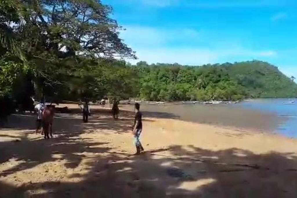 Juwita Chalet Kg Teluk Nipah Pantai Merdeka Kedah 6 Bedrooms 6 Bathrooms Island Kota Kuala Muda Malaysia