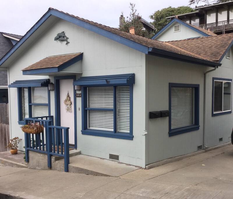 Dolphin House