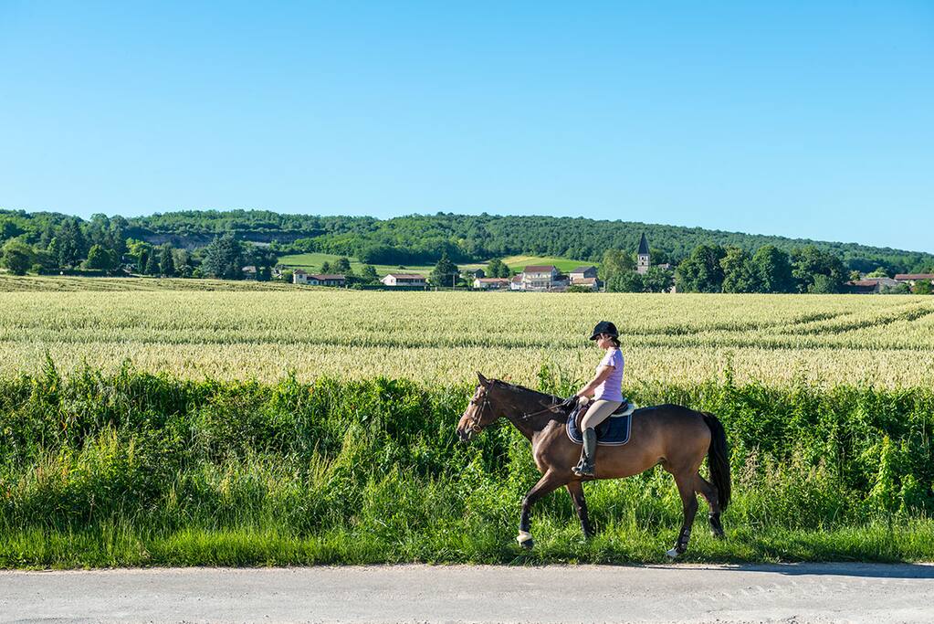 Randonnée équestre dans le vignoble bourguignon