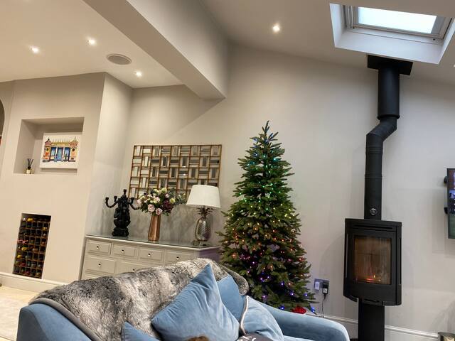 Luxury Central Hale Living gallery image 4