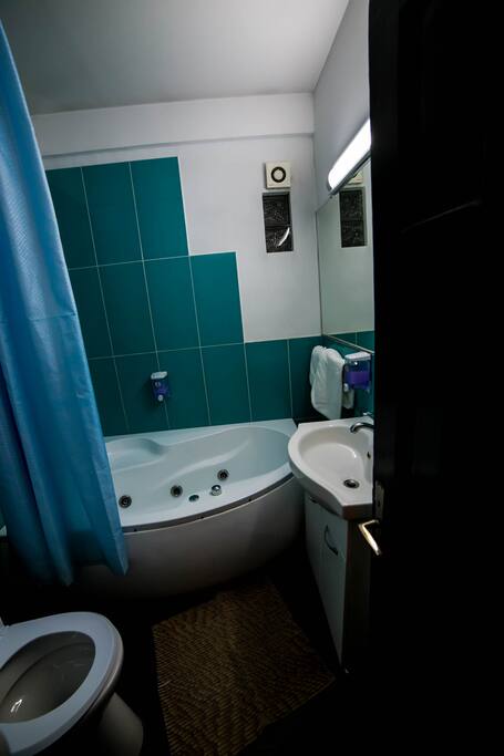 the bathroom