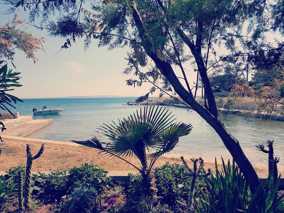 A serene coastal view is presented, framed by lush greenery and tropical plants. The calm sea sparkles under soft sunlight, with a small boat visible off the shore. The shoreline features a gentle slope leading to the inviting water, embodying a peaceful atmosphere.