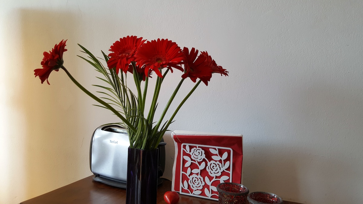 Top Airbnb: Comfortable full equipped apartment well located! in Nippes