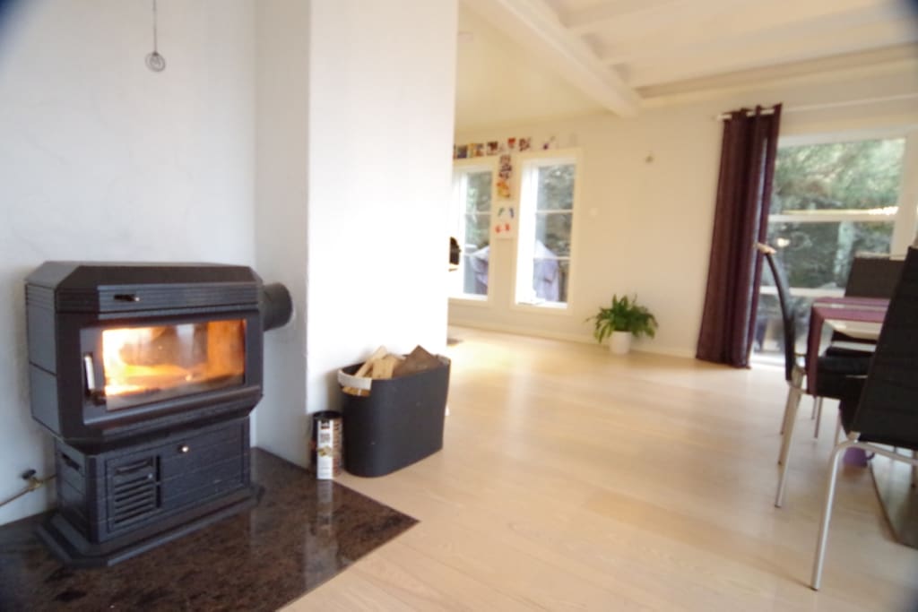Fireplace and dining table