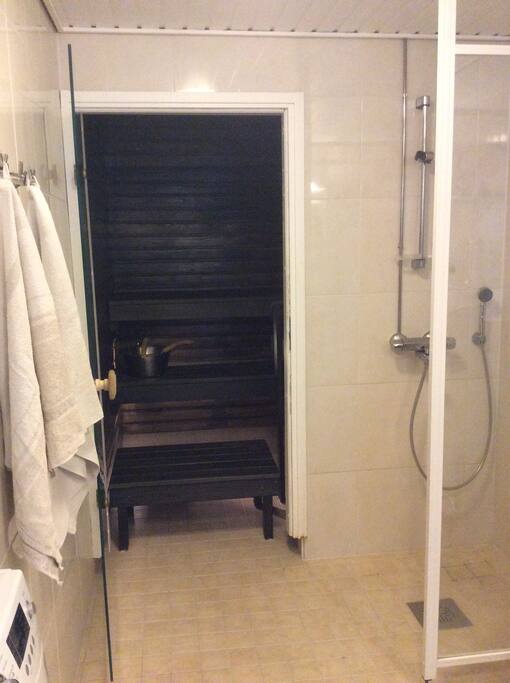 Toilet; sauna and shower