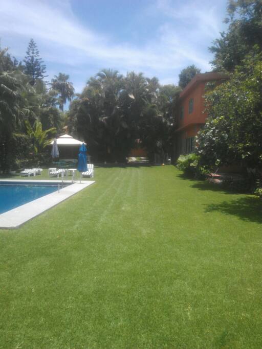 Se tiene un extenso jardín con algunos árboles frutales