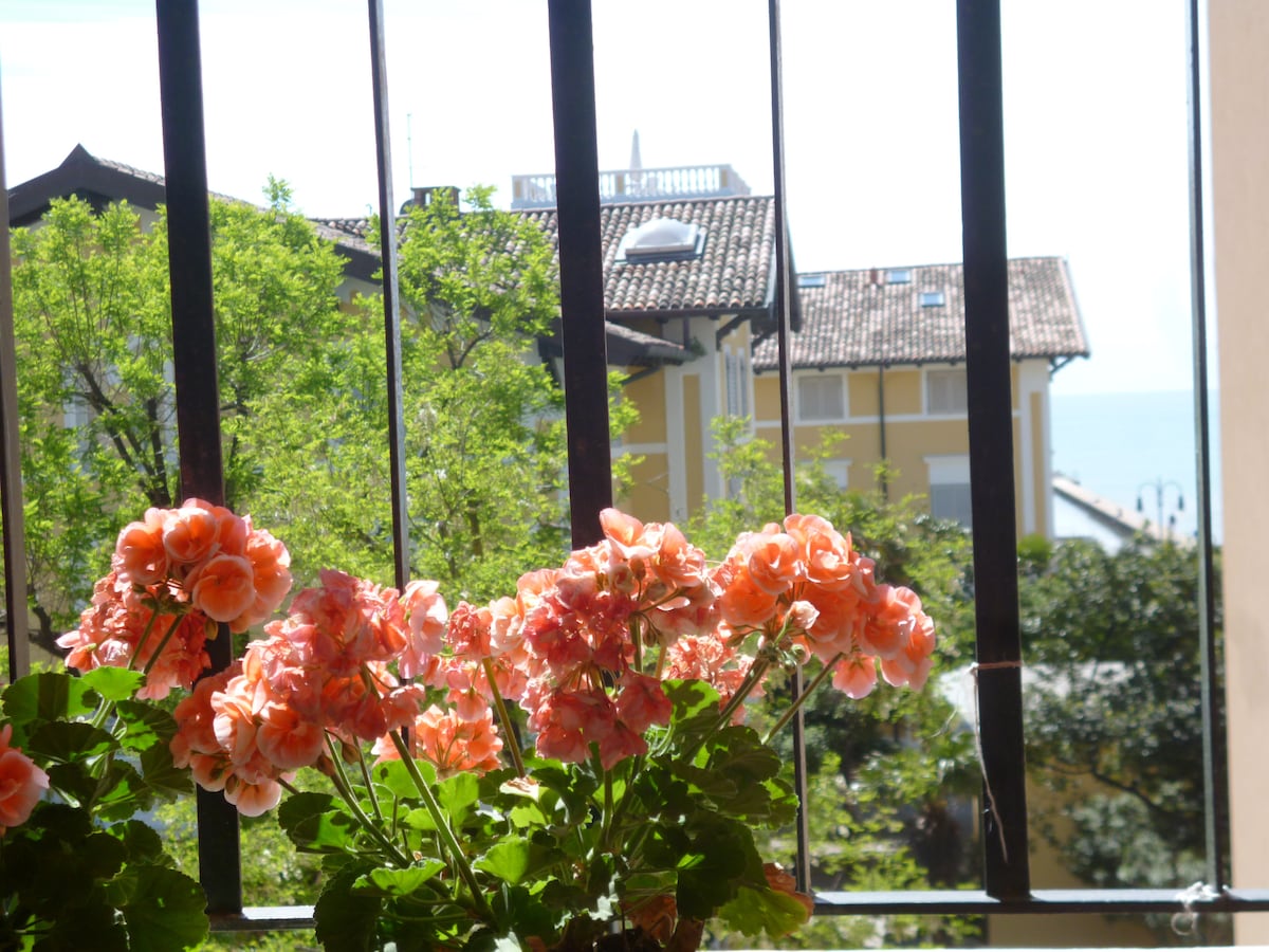 A view through a window is framed by vibrant orange flowers in pots. The scene includes a glimpse of nearby buildings with terracotta roofs and trees, with the ocean visible in the distance.