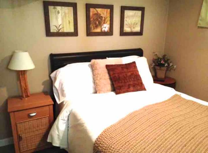 Basement bedroom with full size bed